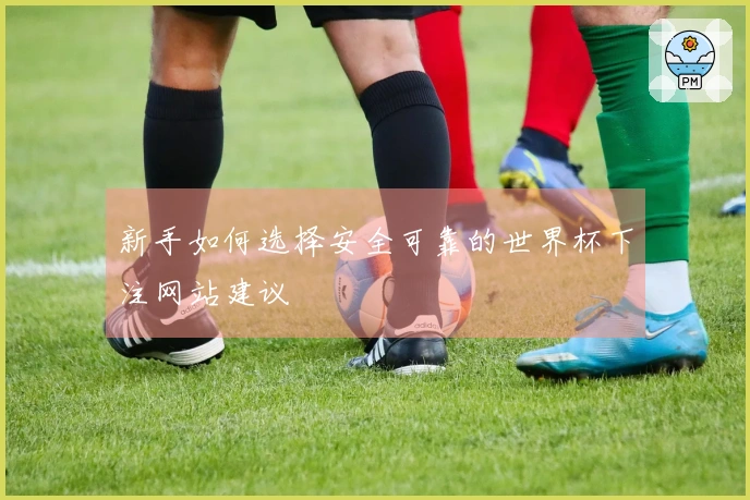 新手如何选择安全可靠的世界杯下注网站建议