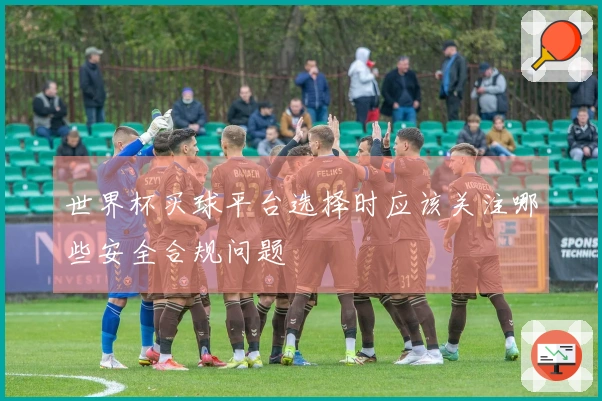 世界杯买球平台选择时应该关注哪些安全合规问题