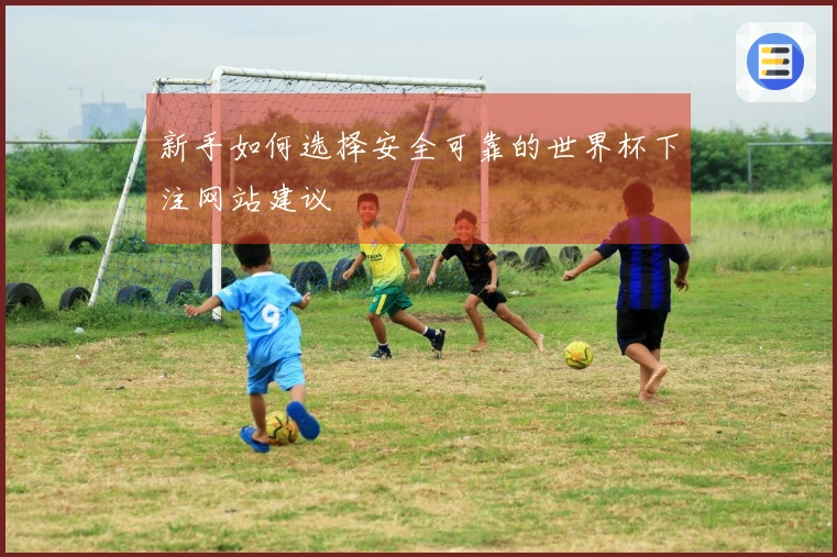 新手如何选择安全可靠的世界杯下注网站建议